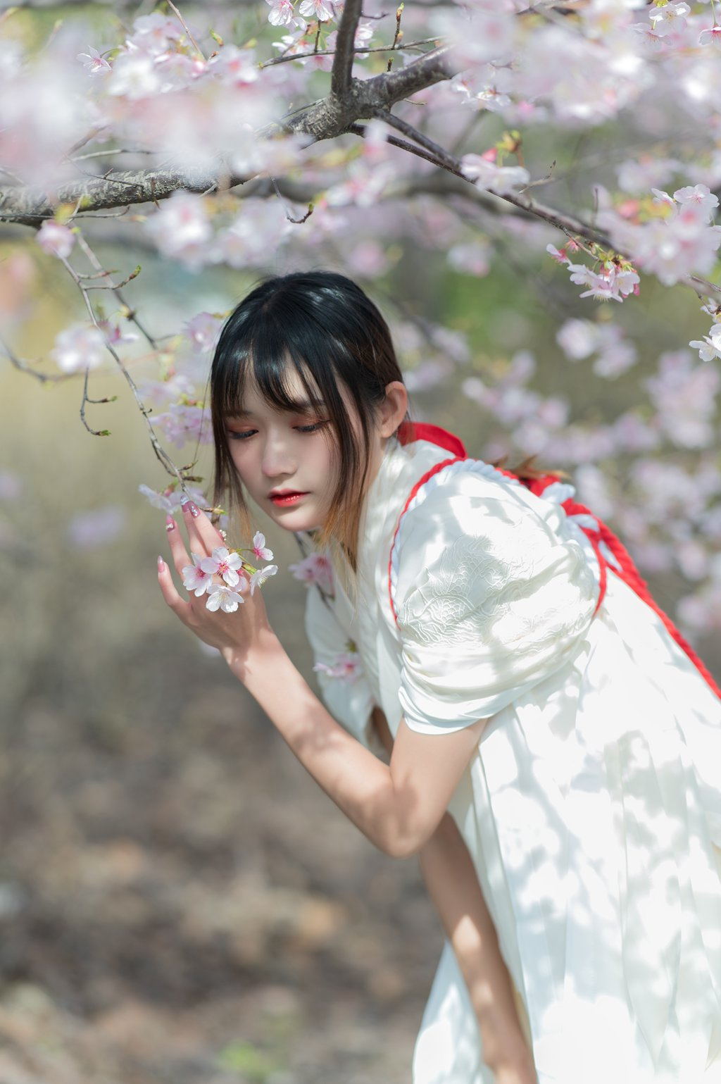 人气Coser@兔子Zzz不吃胡萝卜 樱语[27P/230MB] 网红写真-第4张