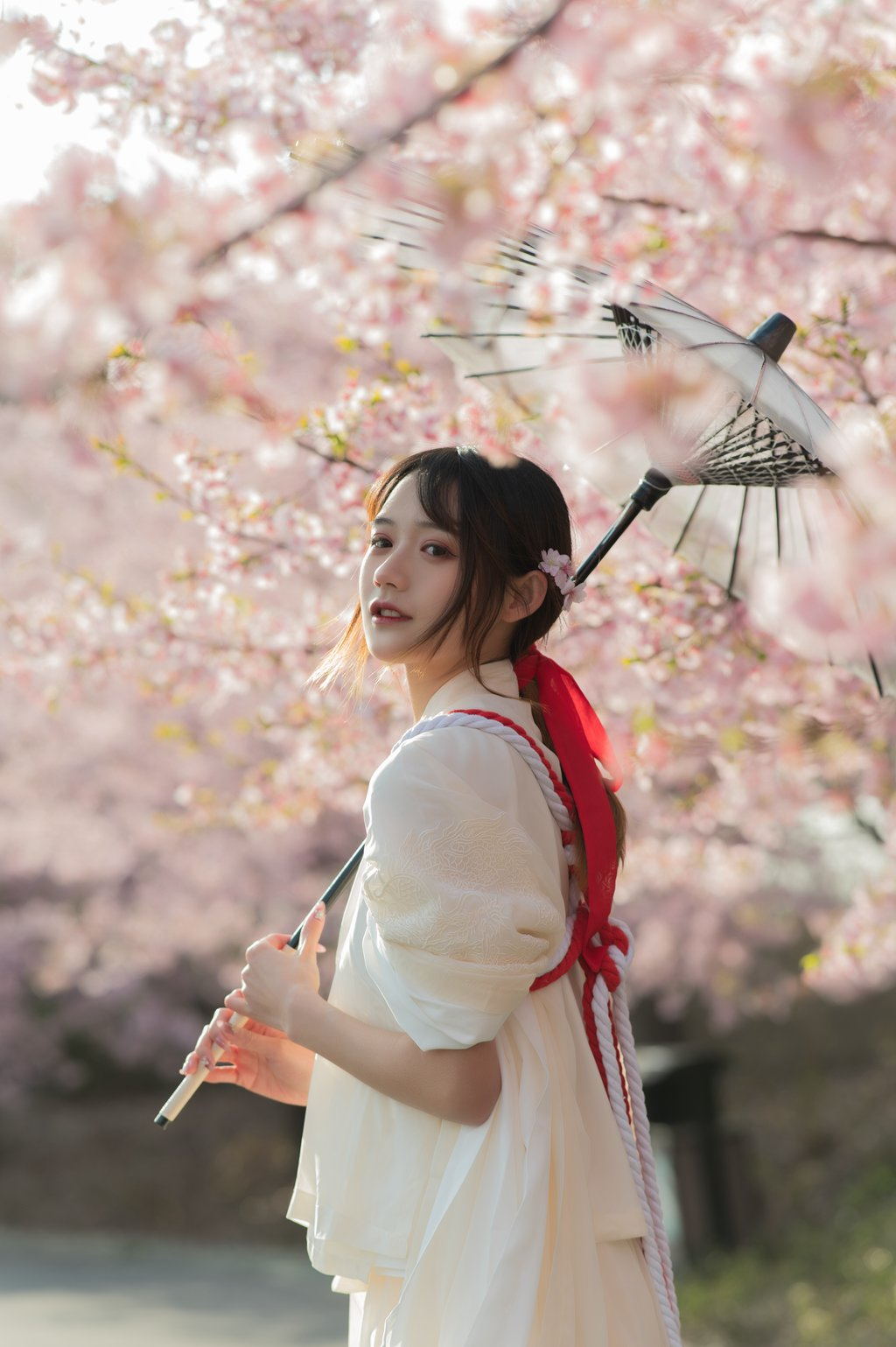 人气Coser@兔子Zzz不吃胡萝卜 樱语[27P/230MB] 网红写真-第2张