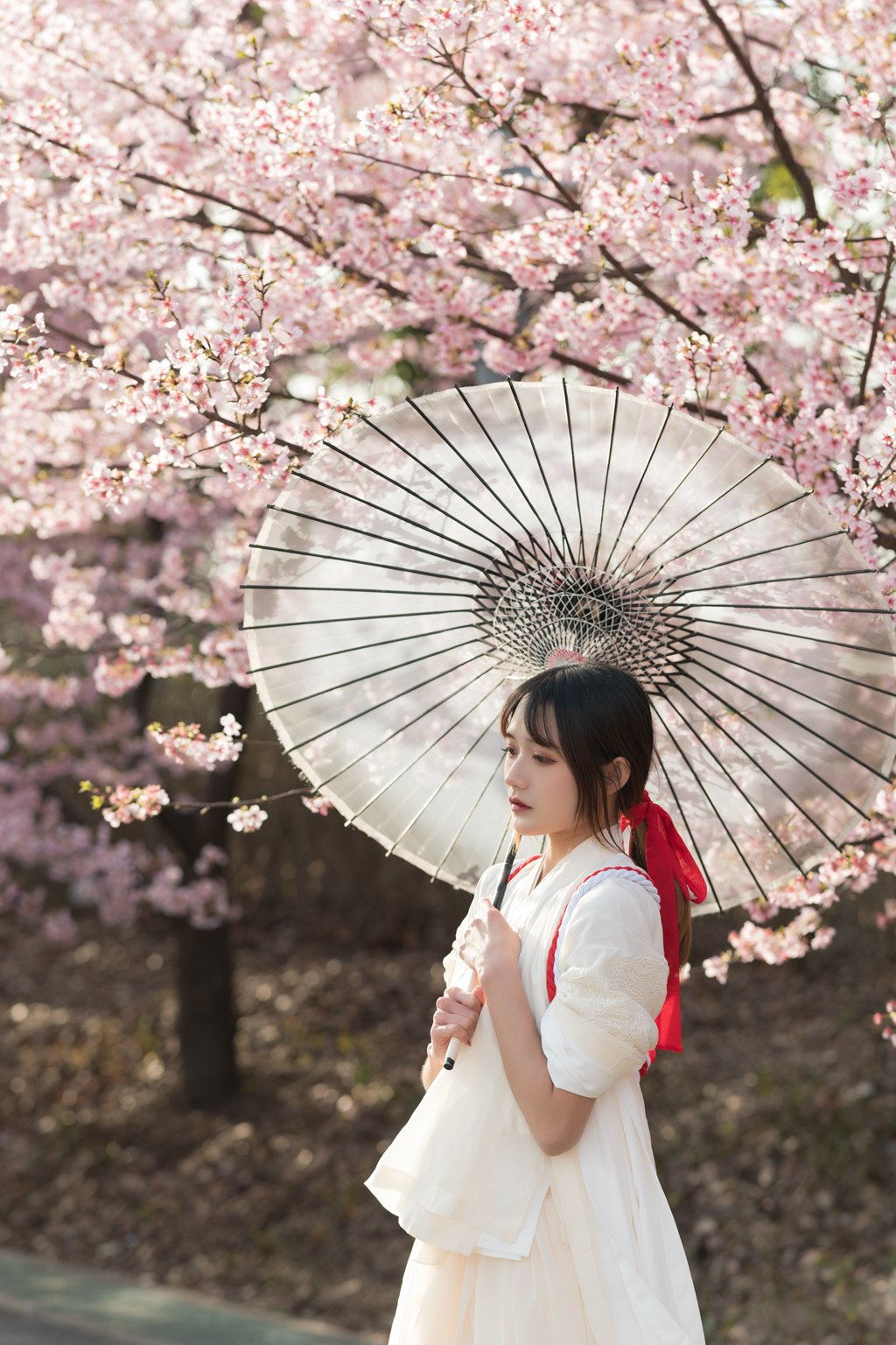 人气Coser@兔子Zzz不吃胡萝卜 樱语[27P/230MB] 网红写真-第1张