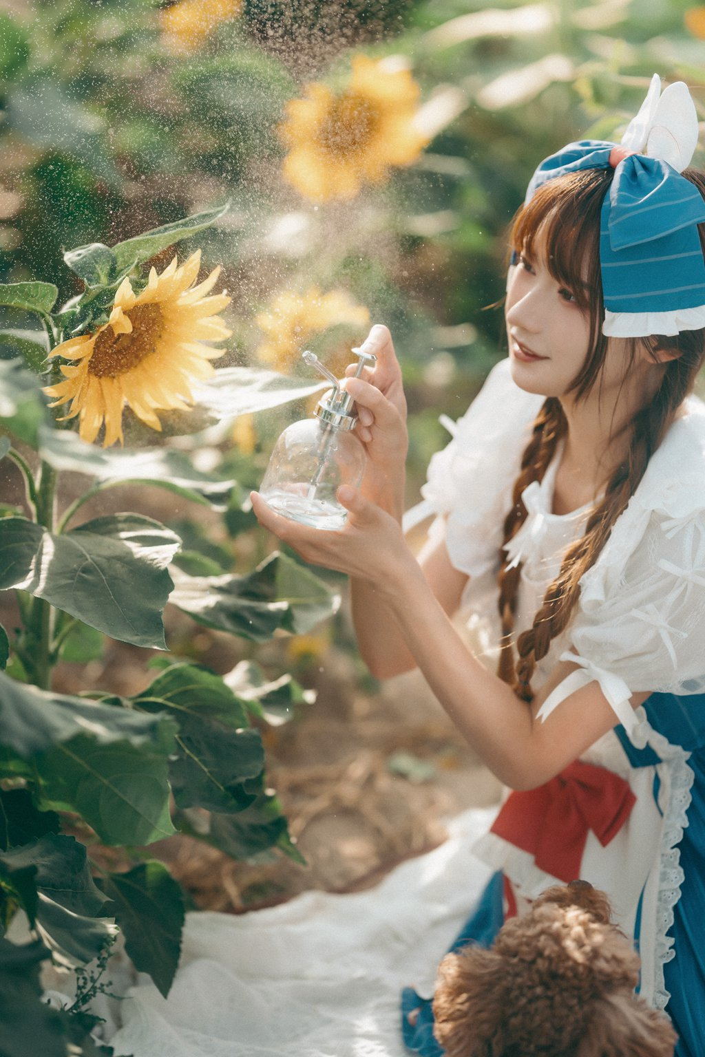 人气Coser@兔子Zzz不吃胡萝卜 甜甜向日葵女孩[13P/311MB] 网红写真-第1张