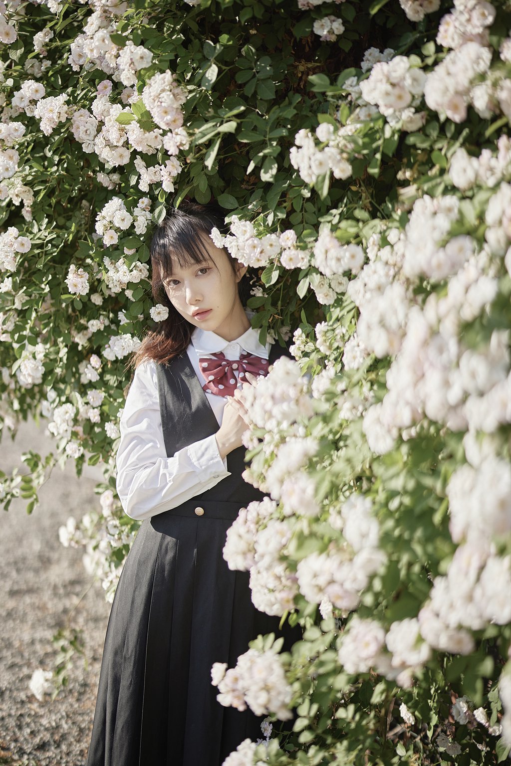 人气动漫Coser@Shika小鹿鹿 蔷薇JK [14P-198MB] 网红写真-第3张