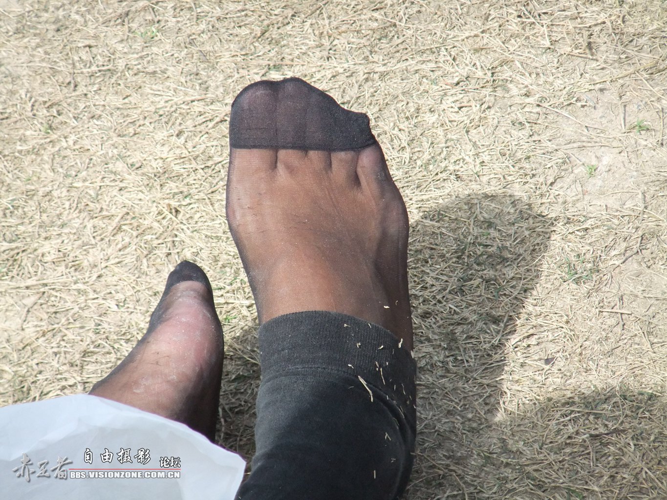自由摄影 No.440 湿湿的嘿丝袜 [19P/38MB] 其它写真-第1张