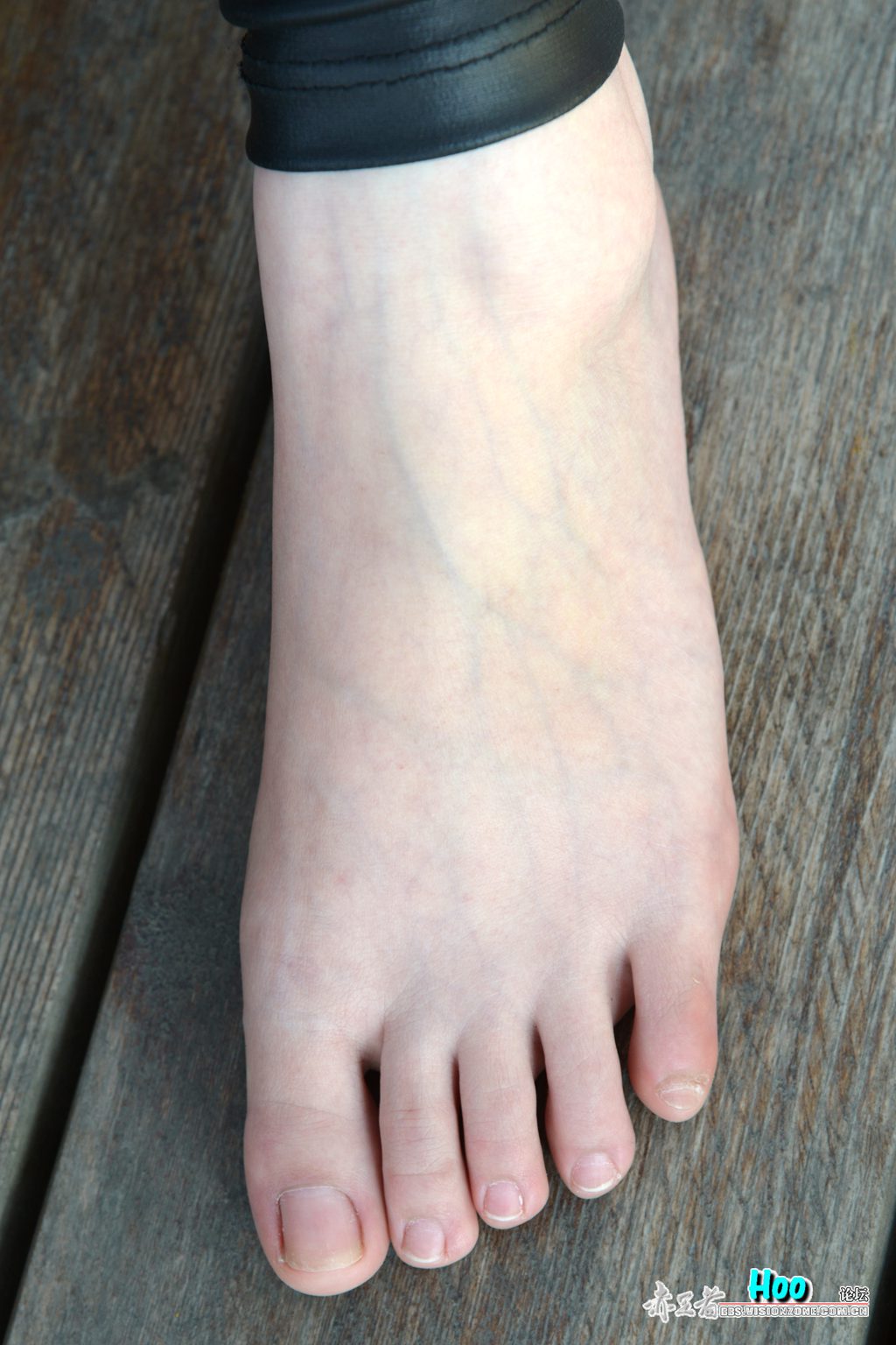 Hoo摄影 No.155 D800超级大图-萍萍美jiao [81P/650MB] Hoo摄影-第3张